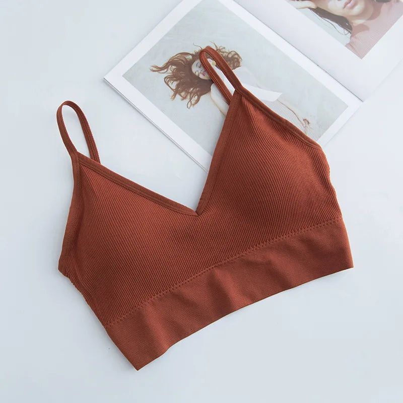 Áo Bra Thể Thao Cotton Nâng Đỡ Chạy Bộ Yoga Nữ - Daisan Mart