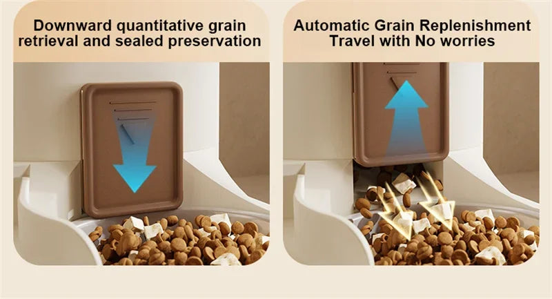 Pet Cat Automatic Feeder, Water Dispenser, Large Capacity Dry Wet Separation Food Container, Pet Supplies - Daisan Mart