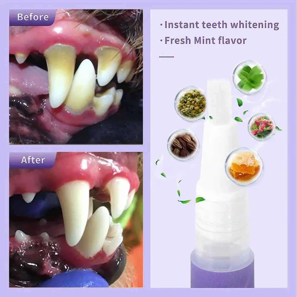 Pet Oral Repair Gel Dog Cat Teeth Cleaning Pen Natural Dog Toothpaste Gel Pet Breath Freshener Eliminate Bad Breath Oral Care - Daisan Mart
