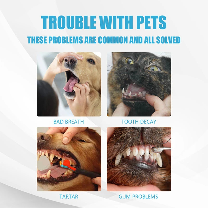 Pet Toothpaste For Dogs To Freshen Their Breath, Remove Removal Bad Breath And Tartar, Clean Cats Oral Care Edible Pet Supplies - Daisan Mart