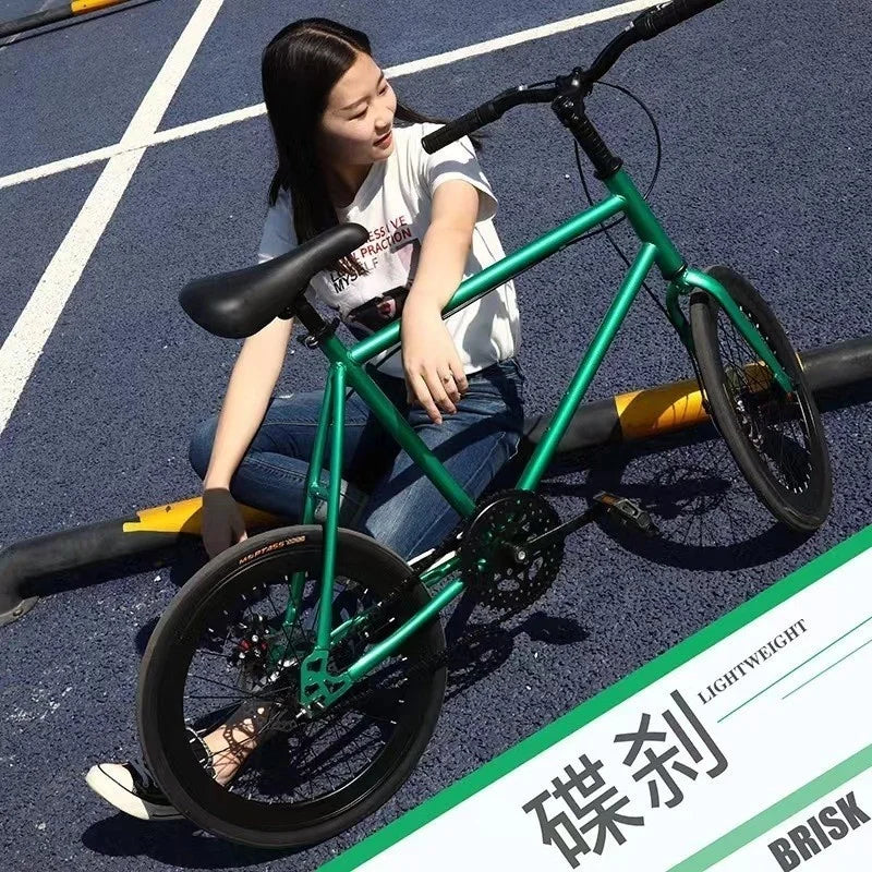 Xe Đạp Địa Hình Đĩa Đôi 20 Inch SKIG Cho Người Lớn - Daisan Mart
