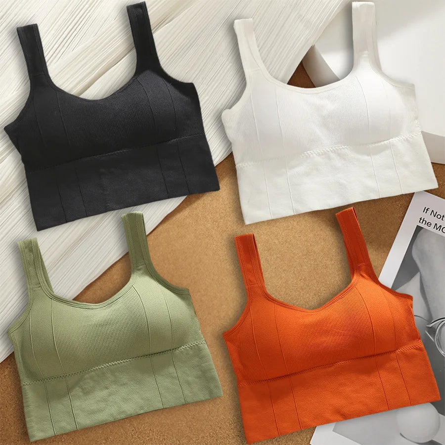 Áo Bra Thể Thao Nữ Chống Mồ Hôi, Đệm, Không Đường May - Daisan Mart