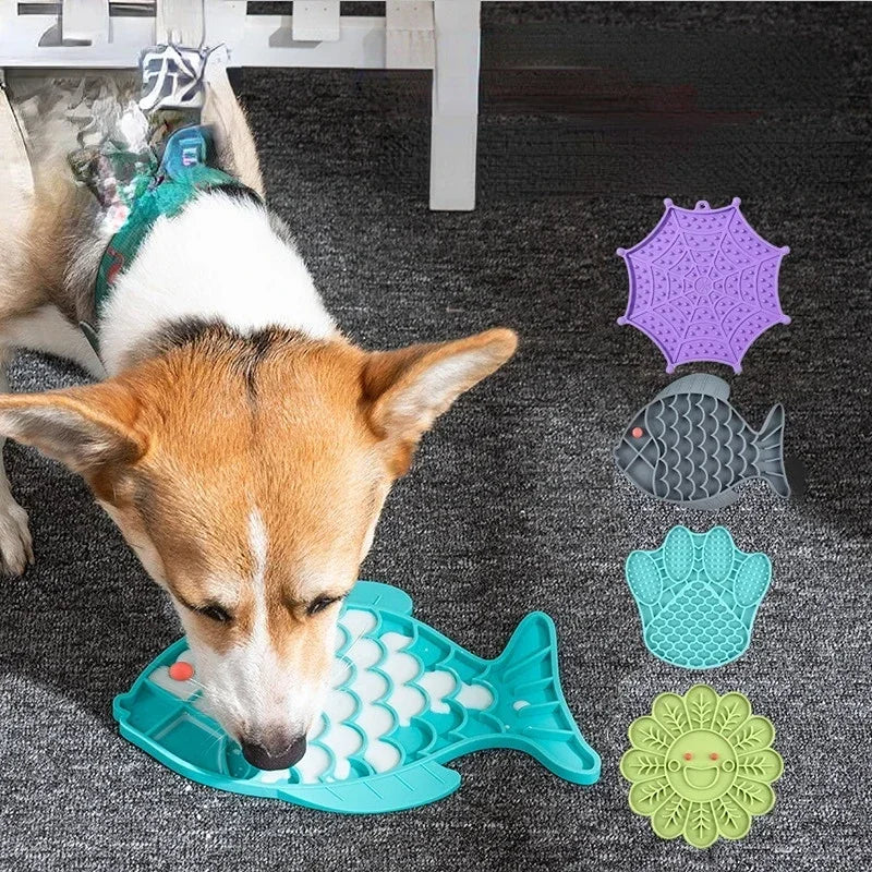 Chó đang liếm khay hình con cá màu xanh với nhiều khay khác nhau trên thảm xám.