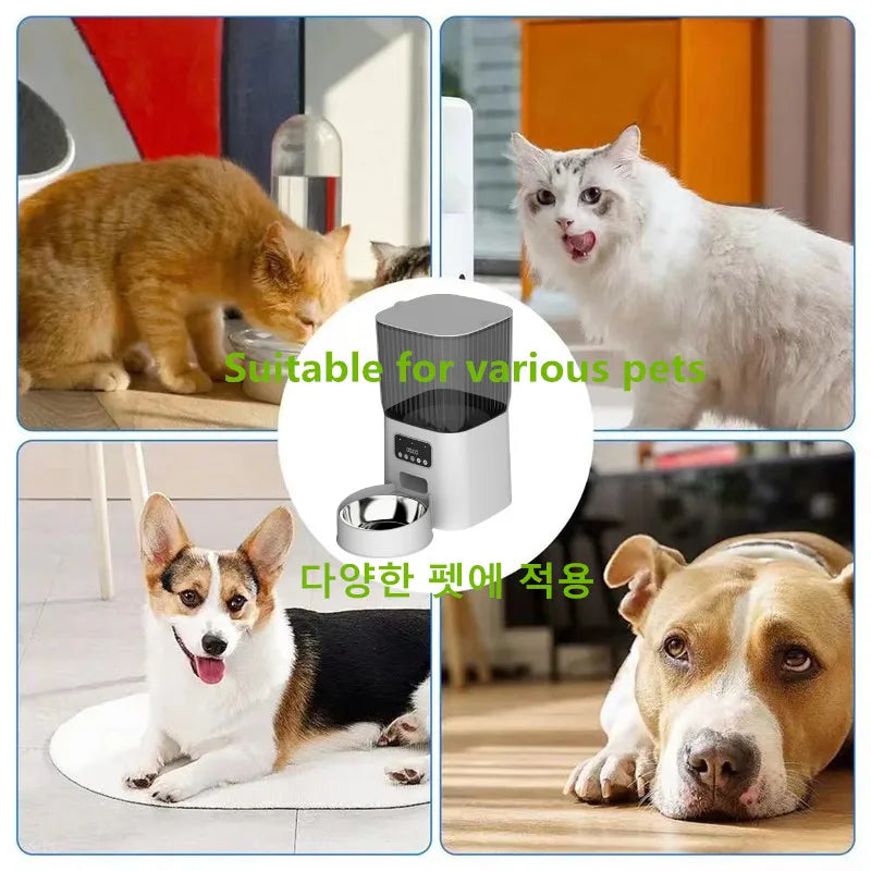 Pet Automatic Feeder Dog Feeding And Water Dog Accessories Cat Drinking Water Flowing Water Without Inserting Electric Kettle - Daisan Mart