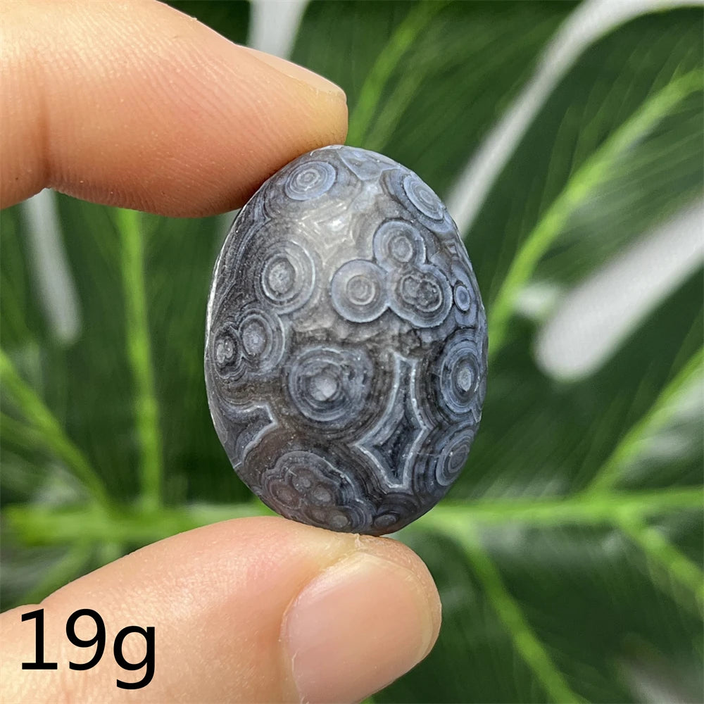 Natural Meteorite Stone for Energy Room Decoration