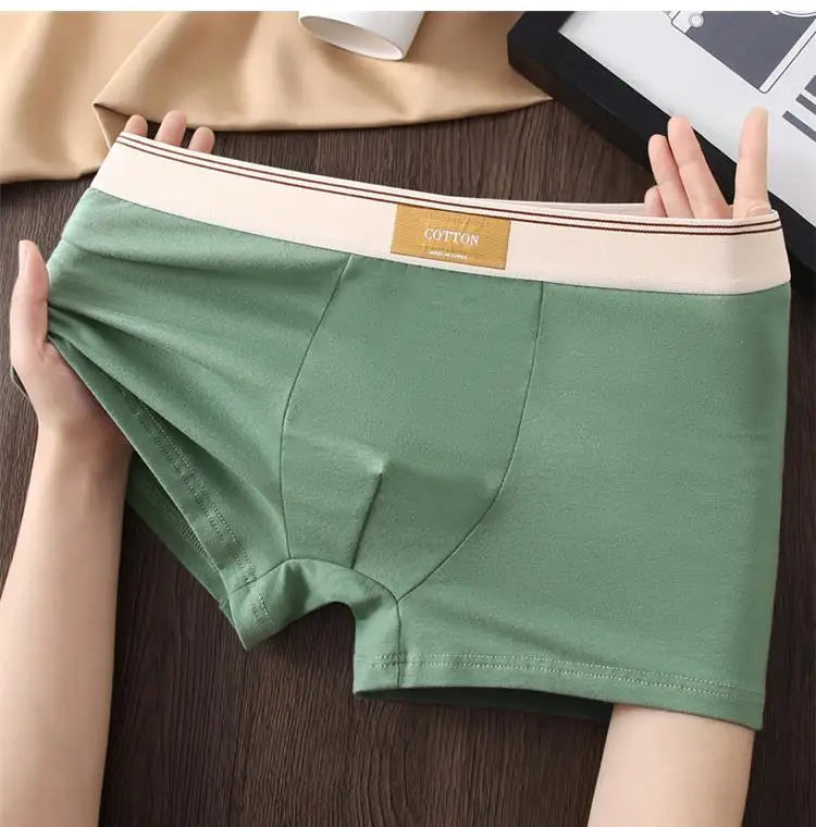 Quần Boxer Nam Cotton Thoáng Khí Thể Thao Gợi Cảm