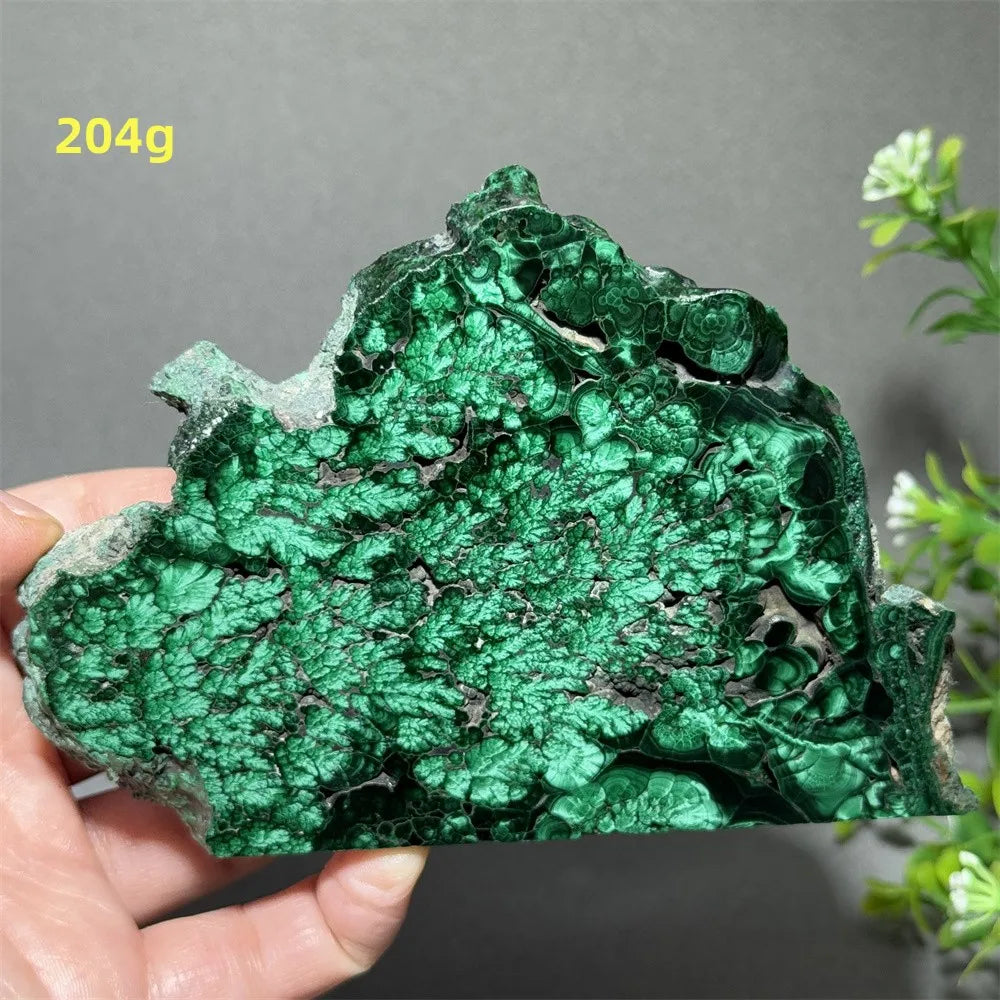 Thiên Nhiên Đá Malachite Sống Thiền Trang Trí 50cm - Daisan Mart