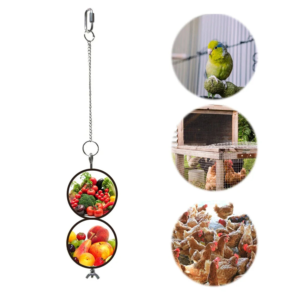 Pet Parrot Stainless Steel Feeder Fruit Corn Fork Toys Chicken Vegetables Holder Hanging Feeding Stick Feeder Pet Accessories