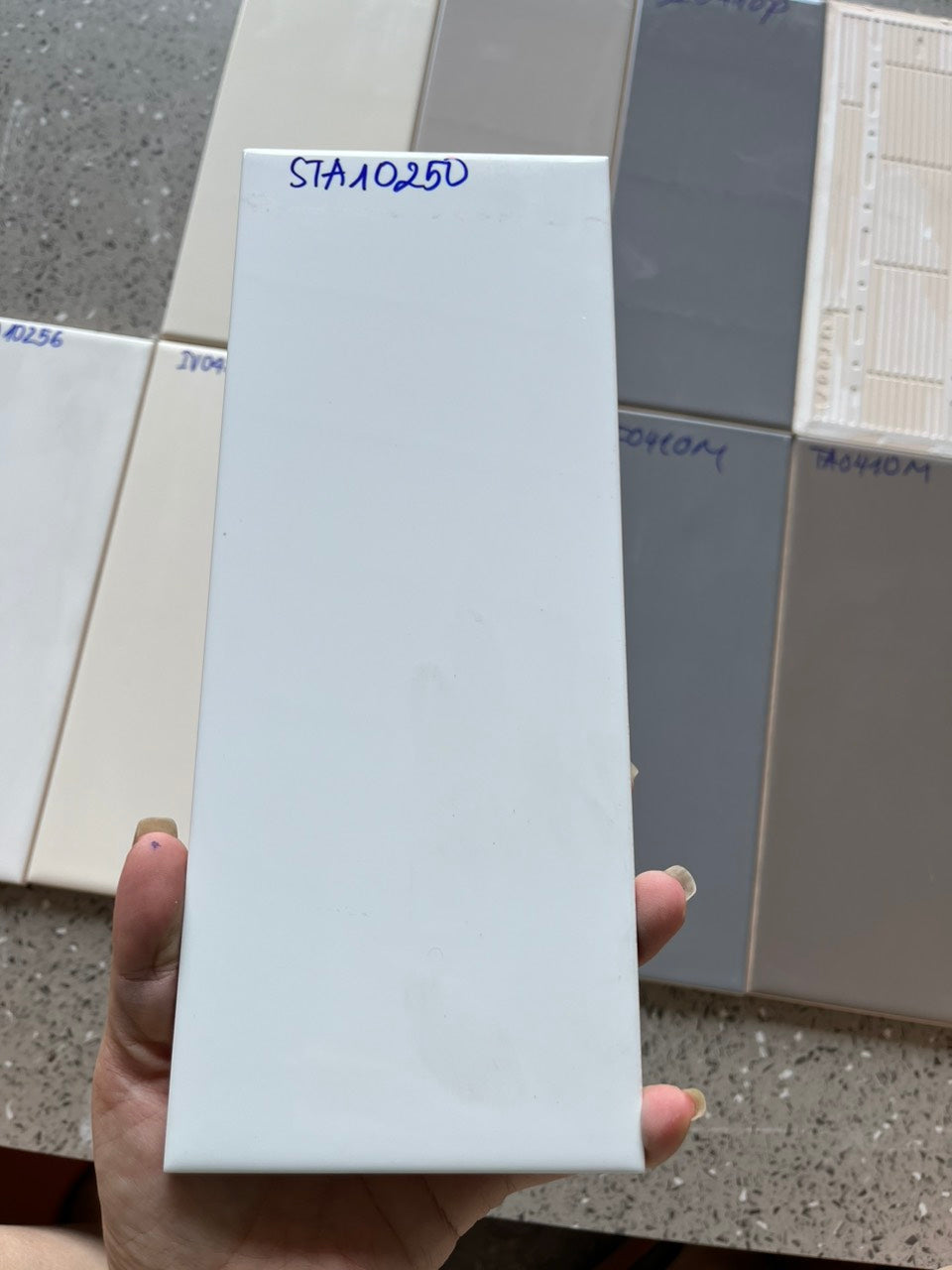 Vietnam flat glossy white tile size 100x250mm type 1 code STA10250