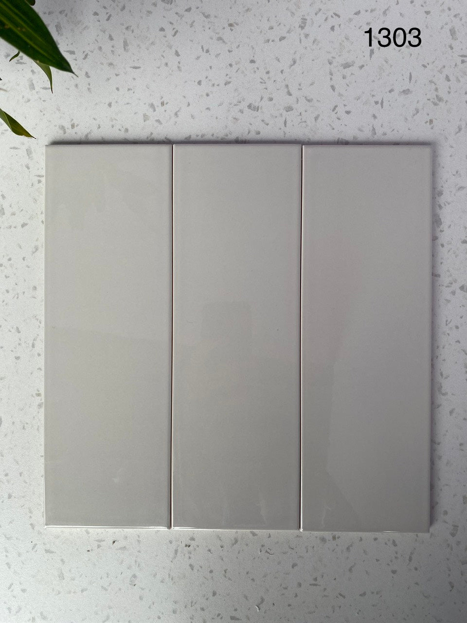 Flat glossy tile 100x300mm STA1303