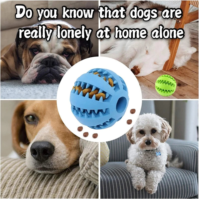 Interactive Play Ball for Dogs and Cats - Chewing &amp; Teeth Cleaning Tool