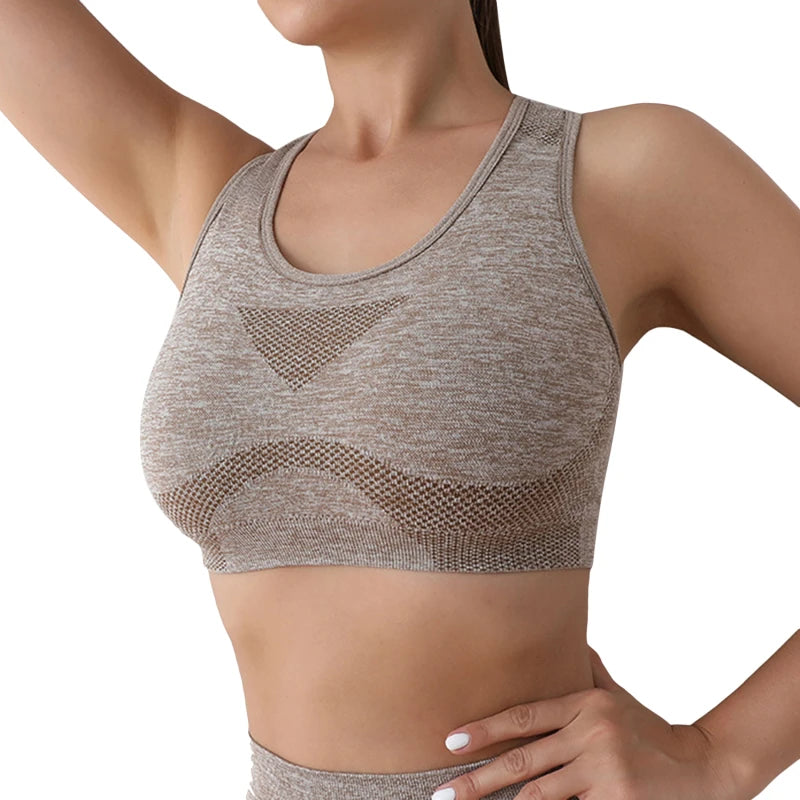 Bra Thể Thao Nữ Co Giãn Tập Gym Yoga Đệm Eo êm - Daisan Mart