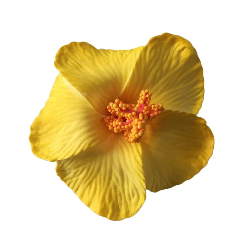 Kẹp Tóc Hoa Plumeria & Hibiscus - Trang Sức Mùa Hè