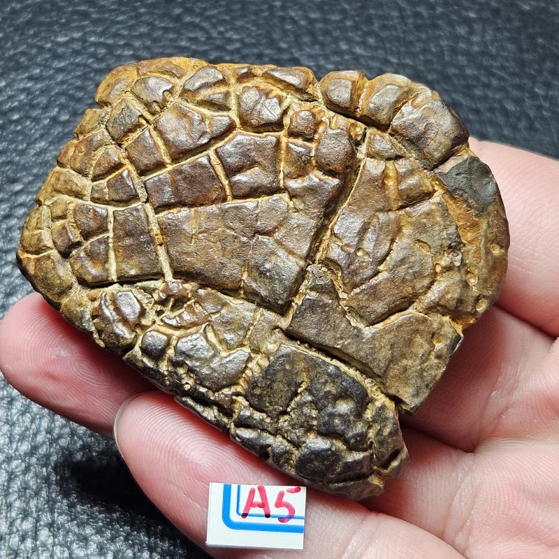 High Energy Natural Rough Stones For Collection, Healing