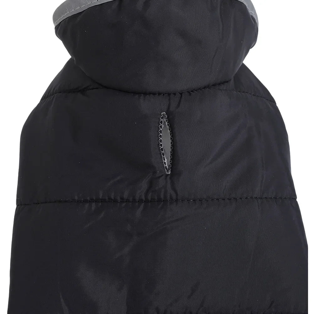 Waterproof Reflective Outdoor Jacket for Dogs 