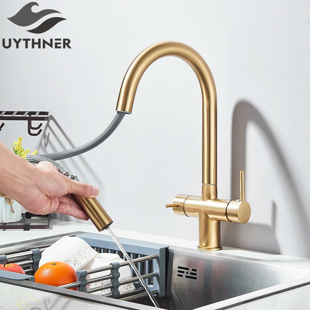 2-Mode Swivel Gold Brass Water Filter Kitchen Faucet