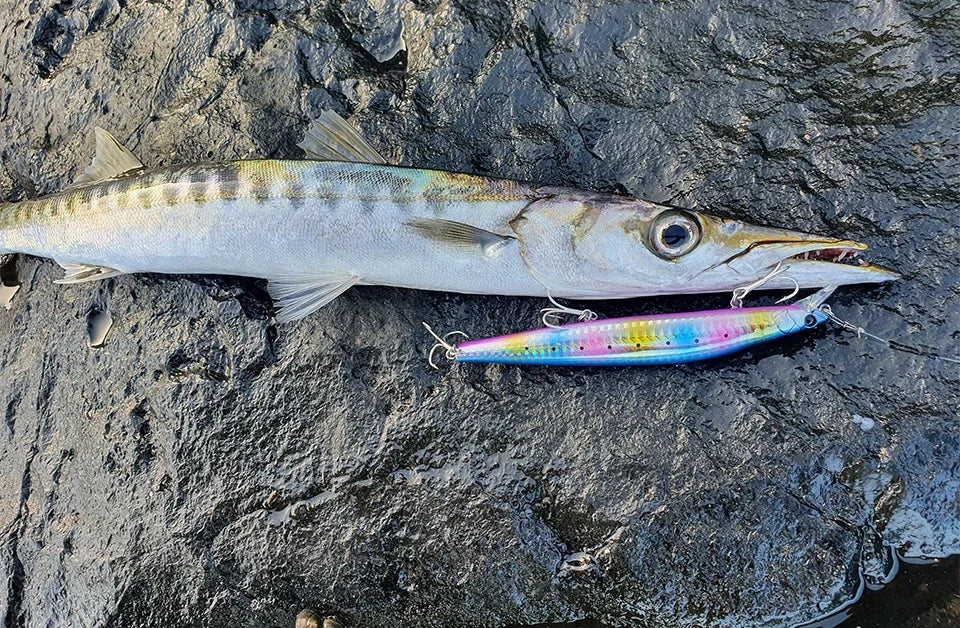 TSURINOYA Stinger 140S Fishing Lure Sinking Minnow DW92 140mm 26g Saltwater Seabass Ultra Long Casting Large Hard Baits Jerkbait