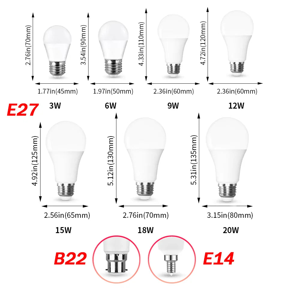 Set of 5 12V Multi-Power Indoor LED Bulbs