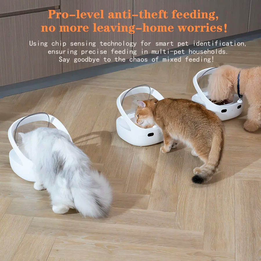 New Petoneer NutriCare Feeder Tailored For Multi-Pet Households Pet feeder Cat And Dog Feeder With App Global Version - Daisan Mart
