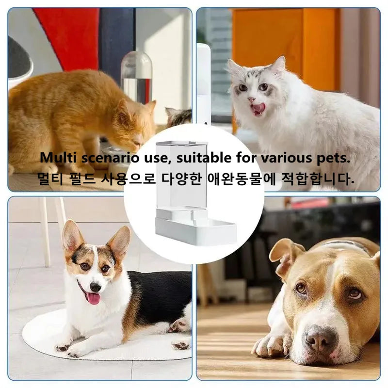 Pet Automatic Feeder Dog Feeding And Water Dog Accessories Cat Drinking Water Flowing Water Without Inserting Electric Kettle - Daisan Mart