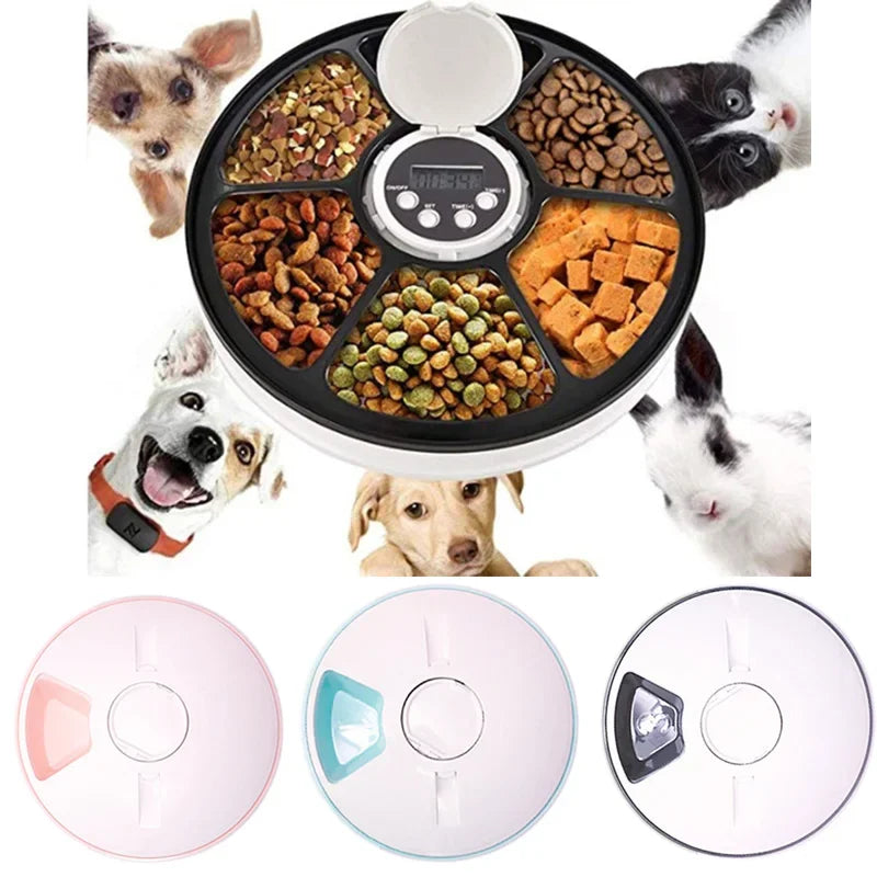 Smart Automatic Feeder for Dogs and Cats - 6 Feeders