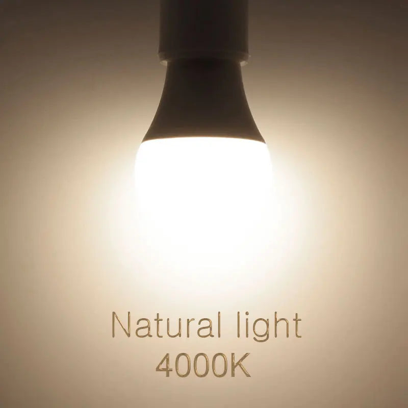 Multi-power LED bulbs E26 E12 for home and office