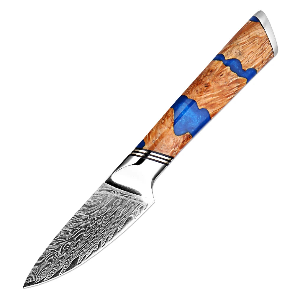 XITUO 1-9PCS Japanese Chef Knives Set,Damascus Kitchen Knives with 67-Layer VG10 Steel Blade,Ultra Sharp Cooking Knife Set - Daisan Mart