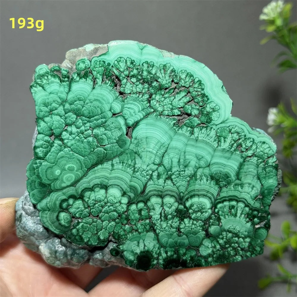 Thiên Nhiên Đá Malachite Sống Thiền Trang Trí 50cm - Daisan Mart