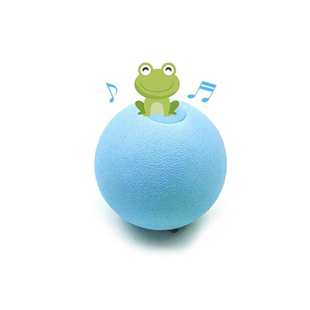 Bộ Đồ Chơi Huấn Luyện Thú Cưng Thông Minh Trong Nhà