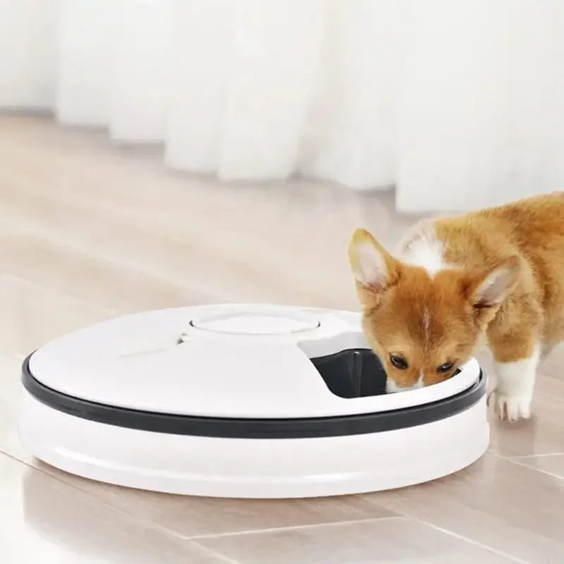 Pet Supplies Six Grid Intelligent Timed Automatic Feeder Timed and Quantitative Feeding Utensils for Pets Feeder Machine - Daisan Mart