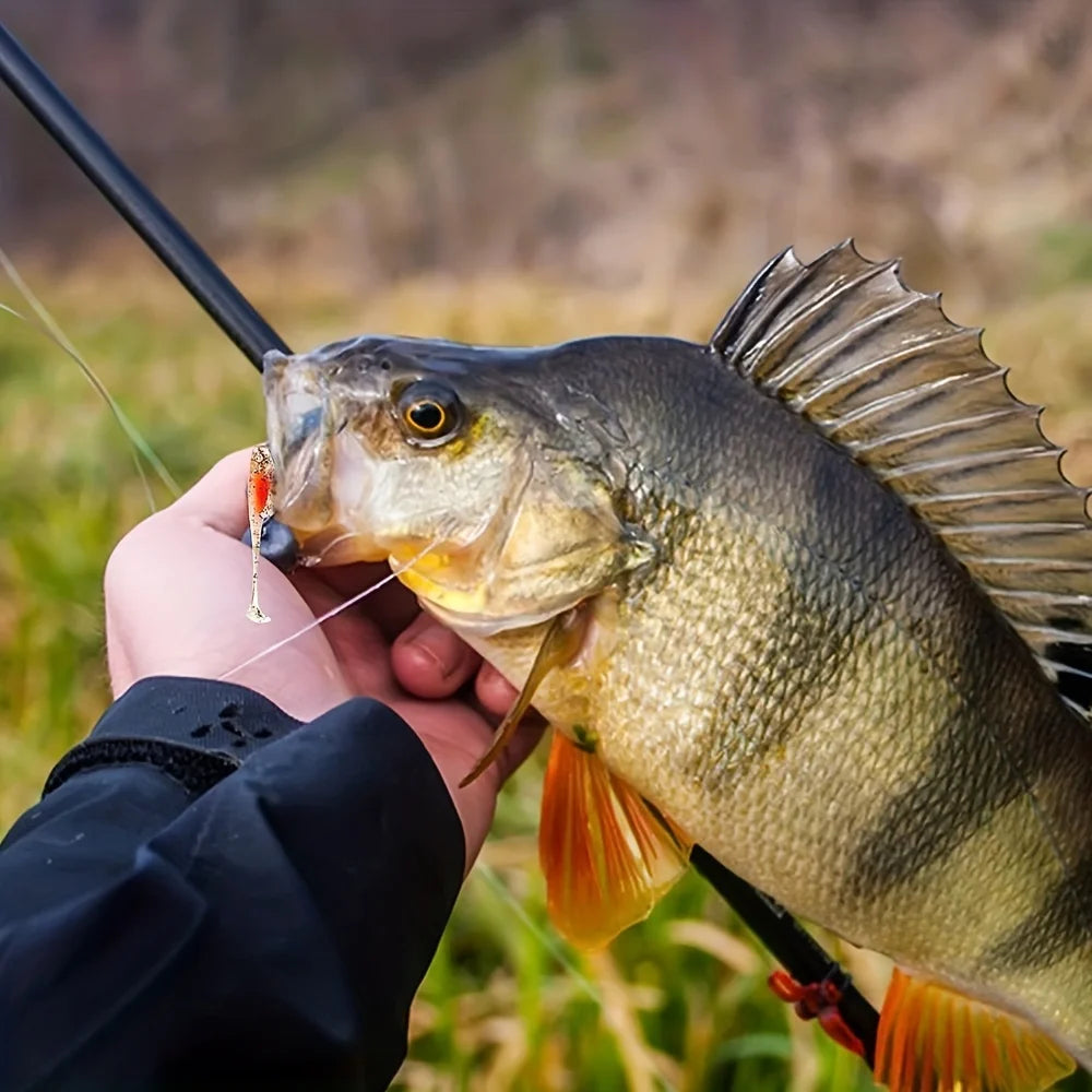 Bộ 24 Mồi Giả Mềm + 12 Lưỡi Câu Jig Đa Sắc 2inch