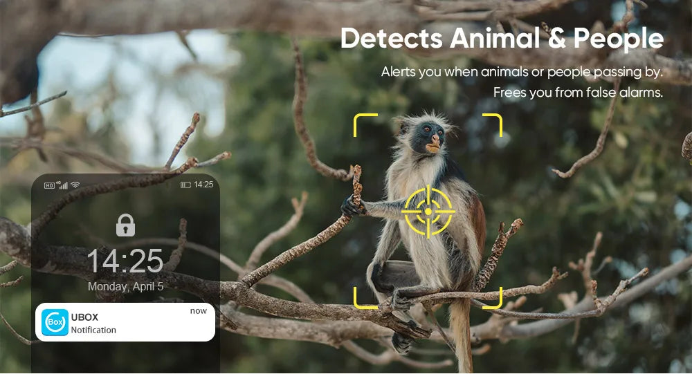 Camera Solar 4G LS VISION 4MP Ngoài Trời Chống Nước