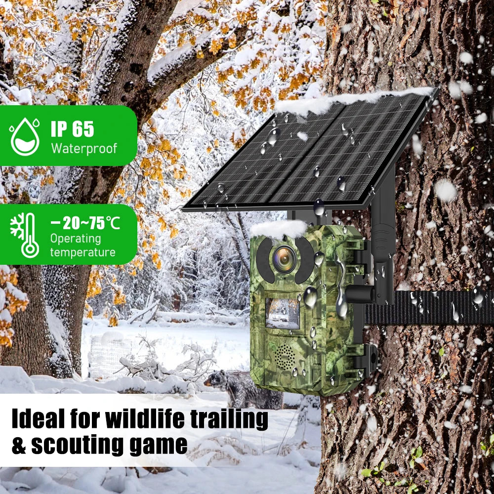 4G European Hunting Camera 4MP Motion Activated