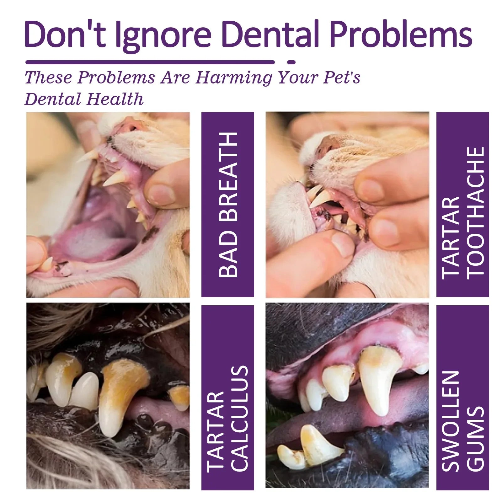 Pet Toothpaste Cat Oral Cleaning Deodorant Breath Freshener Prevent Calculus Tartar Halitosis Cleaning Pet Teeth Cleaner Paste - Daisan Mart