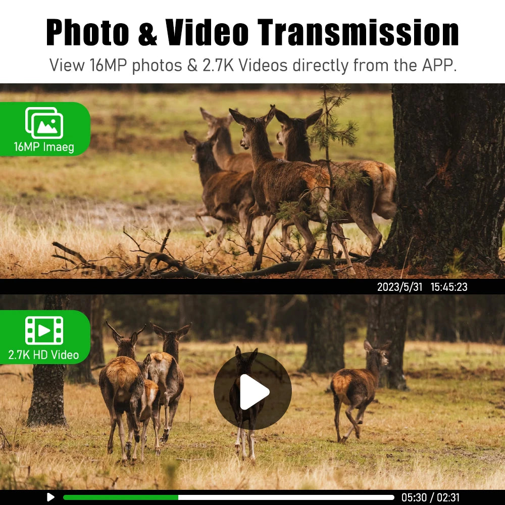 4G European Hunting Camera 4MP Motion Activated