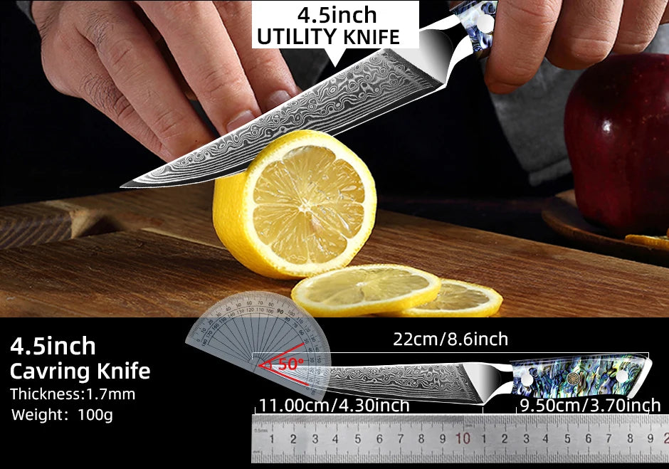 Dao Đầu Bếp VG10 67 Lớp Cán Vỏ Bào Ngọc Nhật Bản