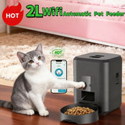 2L Automatic Pet Feeder for Cats with WiFi Smart Control Smartphone App Timed Quantitative Feeding Remote Feeding Cat Feeder