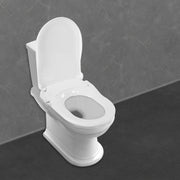 Non-Electric Bidet Toilet Seat White Dual Nozzle System - Bidet with Easy Installation Fits Elongated Toilets - Daisan Mart