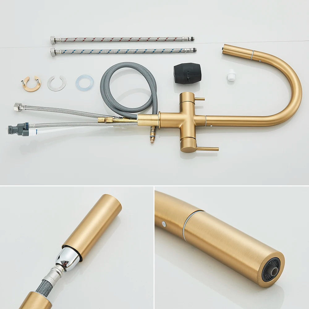 2-Mode Swivel Gold Brass Water Filter Kitchen Faucet