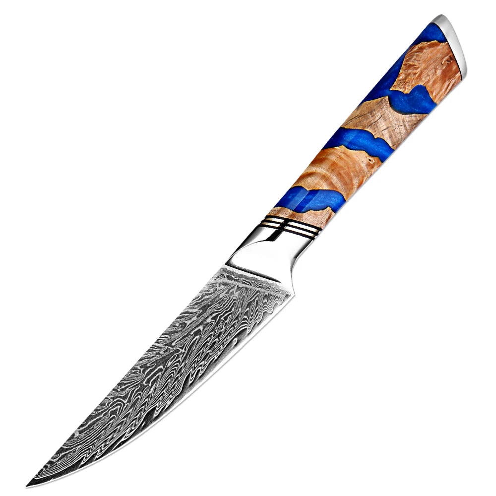 XITUO 1-9PCS Japanese Chef Knives Set,Damascus Kitchen Knives with 67-Layer VG10 Steel Blade,Ultra Sharp Cooking Knife Set - Daisan Mart