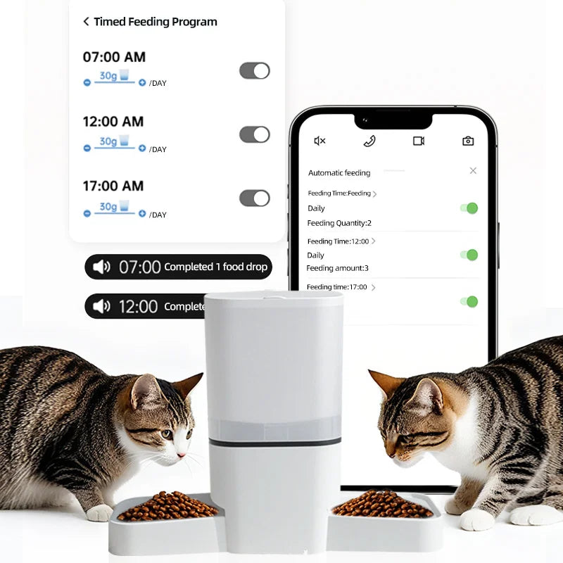 6L WIFI cat automatic feeder, double meal pet feeder, cat food dispenser that can feed 2 pets at the same time, dog feeder - Daisan Mart