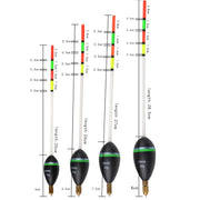 Bộ 2 Phao Câu Cá Siêu Tinh Xảo Cho Hồ Sông 2025