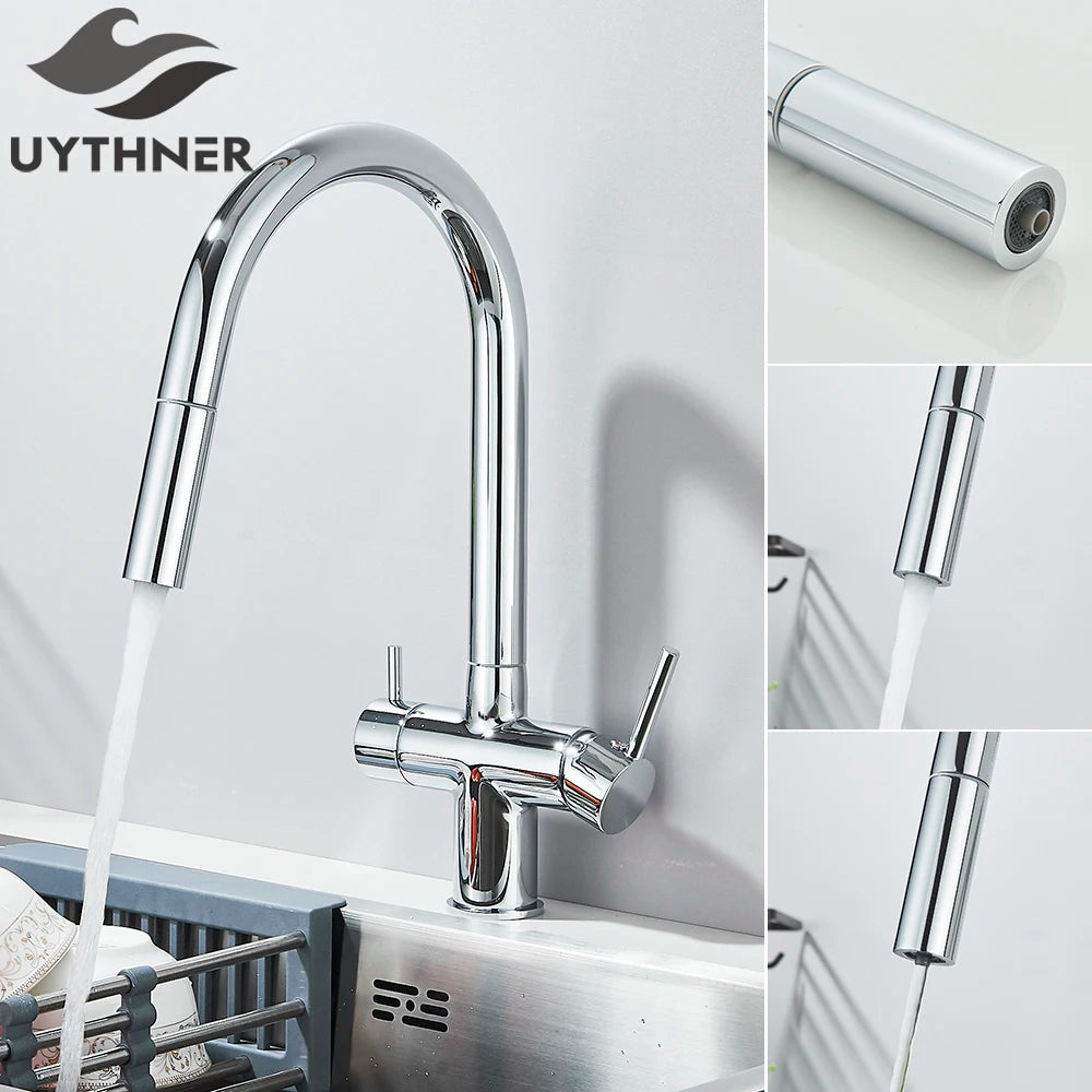 2-Mode Swivel Gold Brass Water Filter Kitchen Faucet