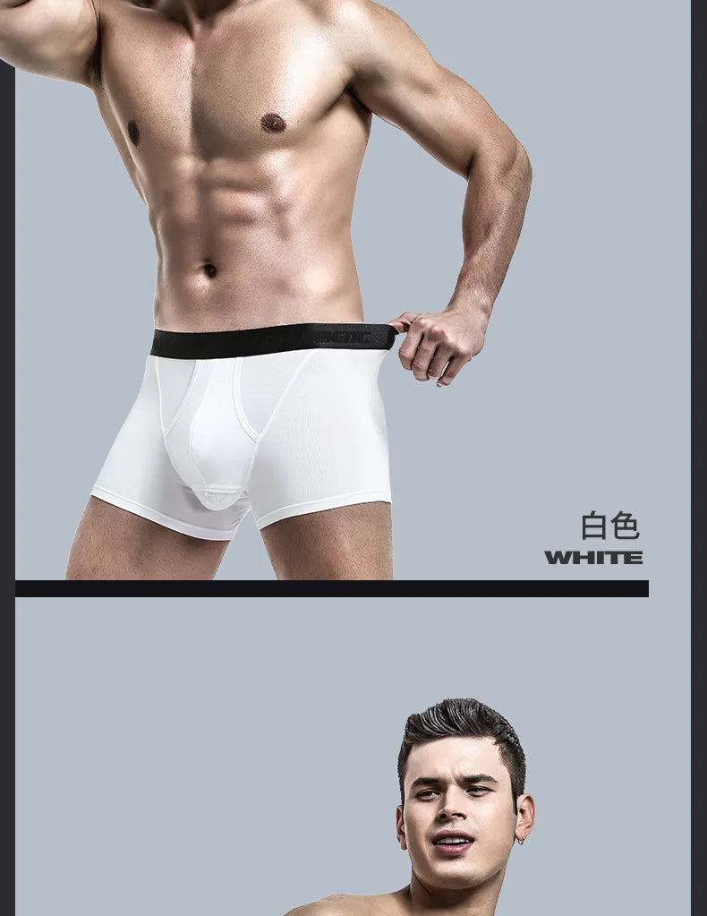 Modal Men's Underwear, Push-up Pad, Cup Separator, Antibacterial