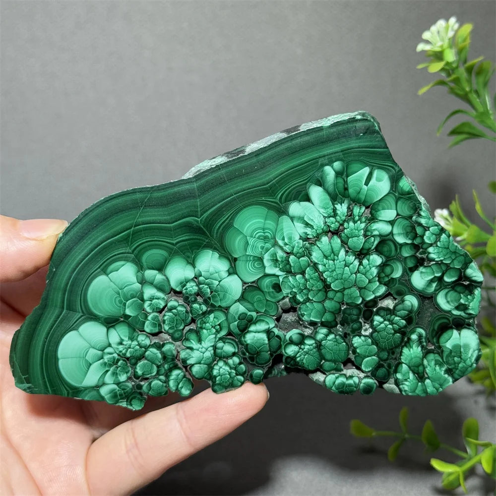 Thiên Nhiên Đá Malachite Sống Thiền Trang Trí 50cm - Daisan Mart