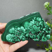 Thiên Nhiên Đá Malachite Sống Thiền Trang Trí 50cm - Daisan Mart