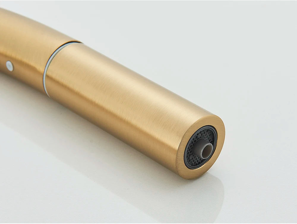 High-end Gold-Plated Kitchen Faucet with 2 Swivel Heads