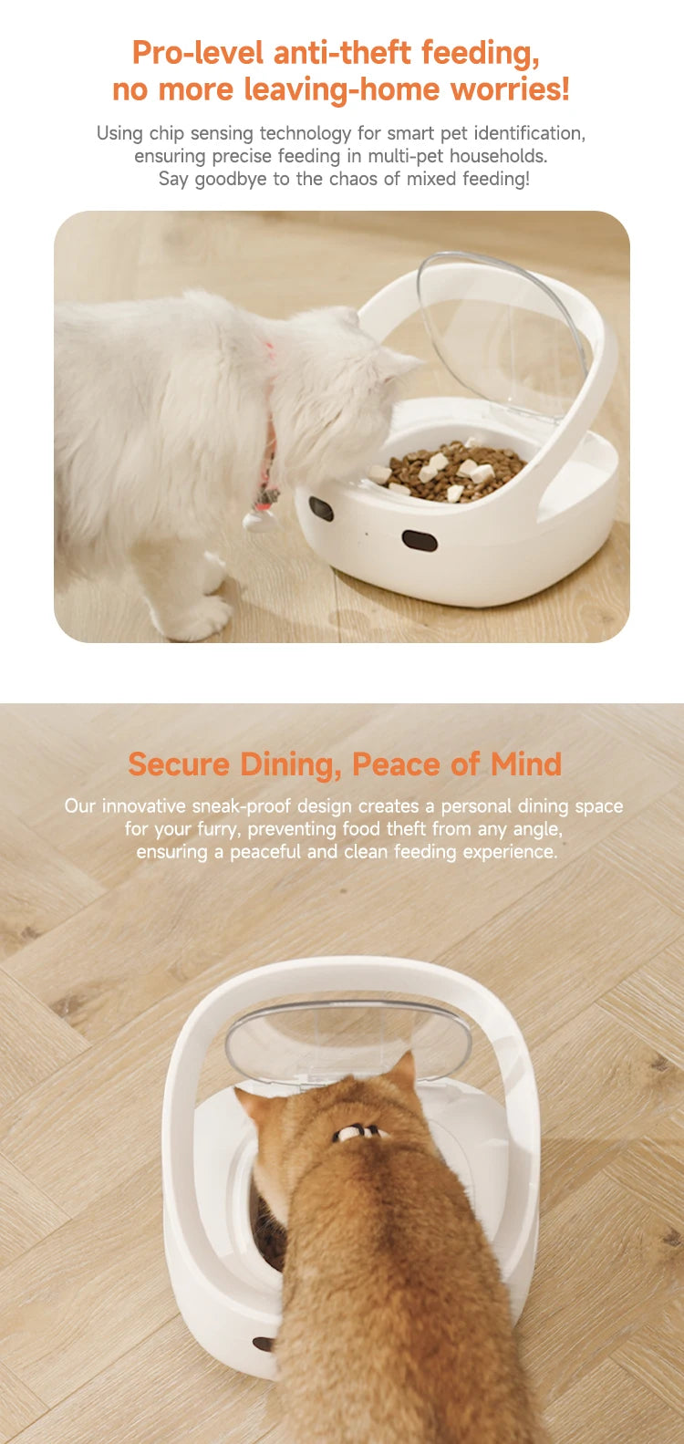 New Petoneer NutriCare Feeder Tailored For Multi-Pet Households Pet feeder Cat And Dog Feeder With App Global Version - Daisan Mart