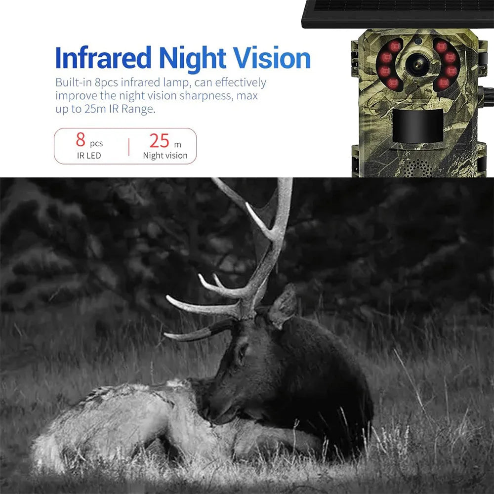 4G European Hunting Camera 4MP Motion Activated