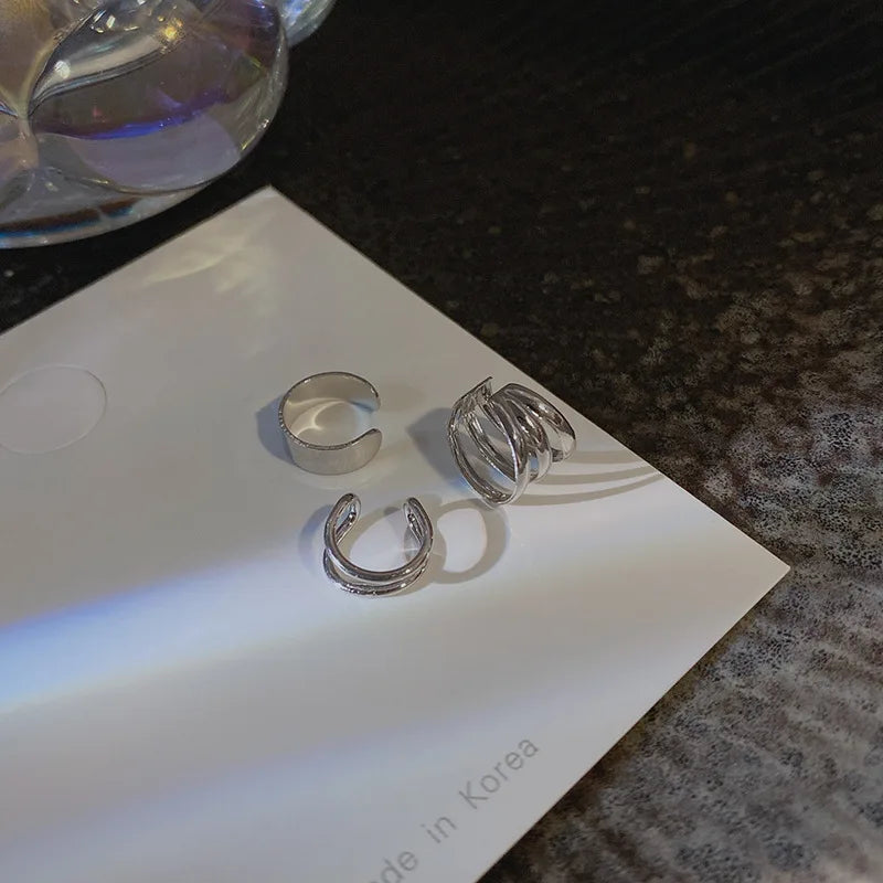 Simple Silver Leaf Clip Earrings No Hole Punch Required